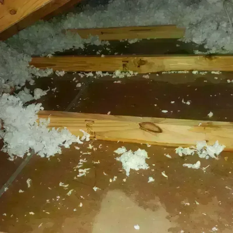 Attic Water Damage in Miami County, OH