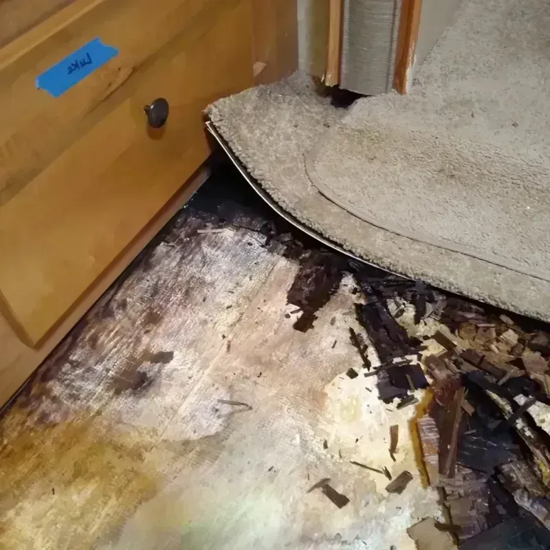 Wood Floor Water Damage in Miami County, OH